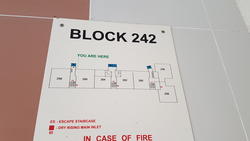Blk 242 Bishan Street 22 (Bishan), HDB 5 Rooms #152596402